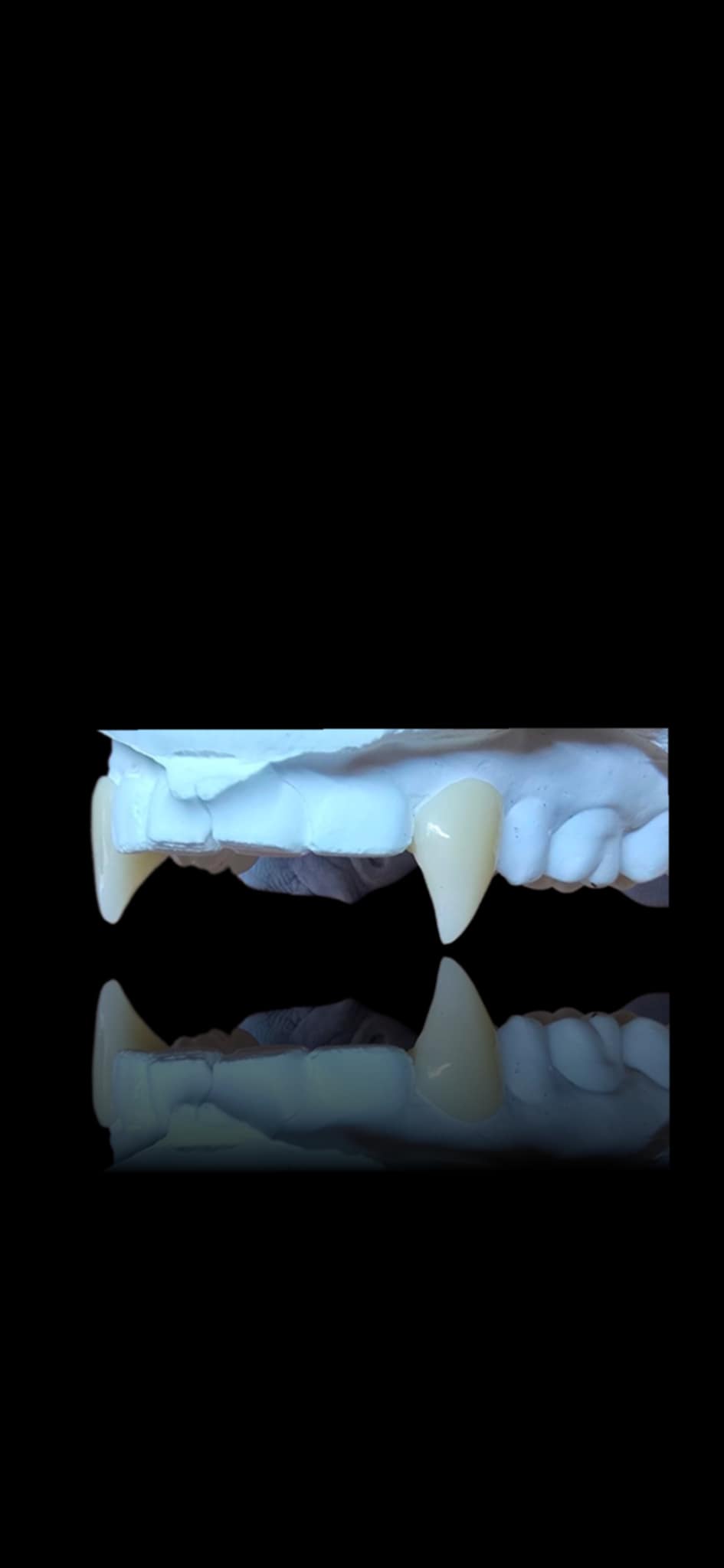 Custom Vampire & Fantasy Fangs